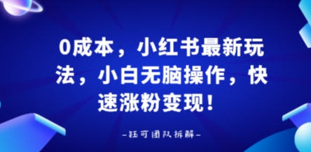 0成本，小红书最新玩法，小白无脑操作，快速涨粉变现-宝创网