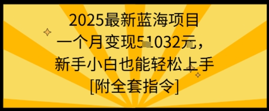 2025最新蓝海项目一个月变现1w+新手小白也能轻松上手【附全套指令】-宝创网