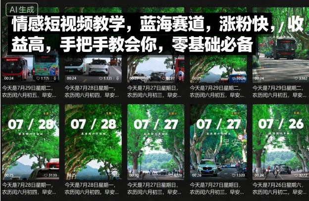 情感短视频教学，蓝海赛道，涨粉快，收益高，手把手教会你，零基础必备-宝创网