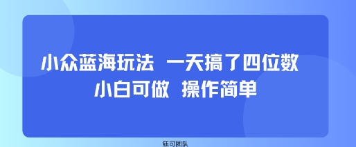 小众蓝海玩法 一天搞了四位数 小白可做 操作简单-宝创网