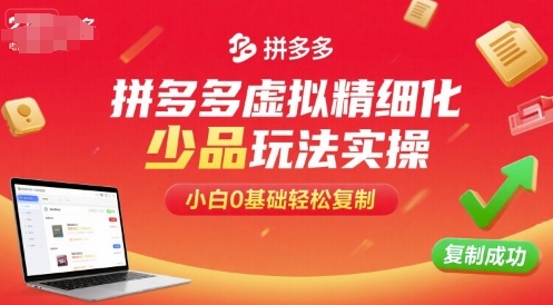拼多多虚拟精细化少品玩法实操，小白0基础轻松复制-宝创网