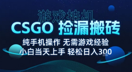 8月最新游戏搬砖，CSGO纯挂G，不需要玩游戏，实现真挂G，月入1W+【揭秘】-宝创网